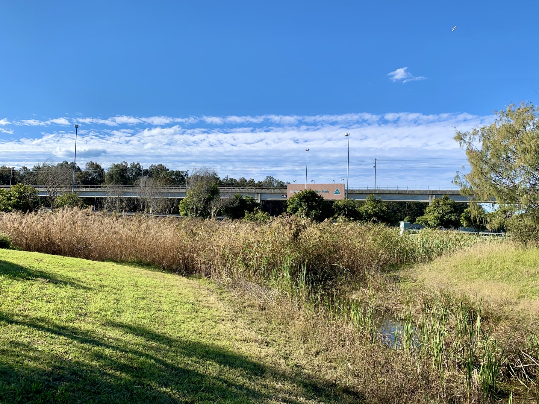 Vegetated open drainage channel at Brisbane Airport photographed in August 2020